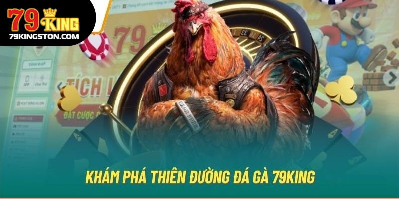 Khám phá thiên đường đá gà 79KING